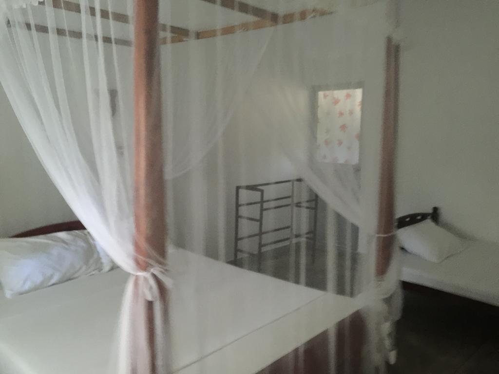 Lodge Backpacker Unawatuna