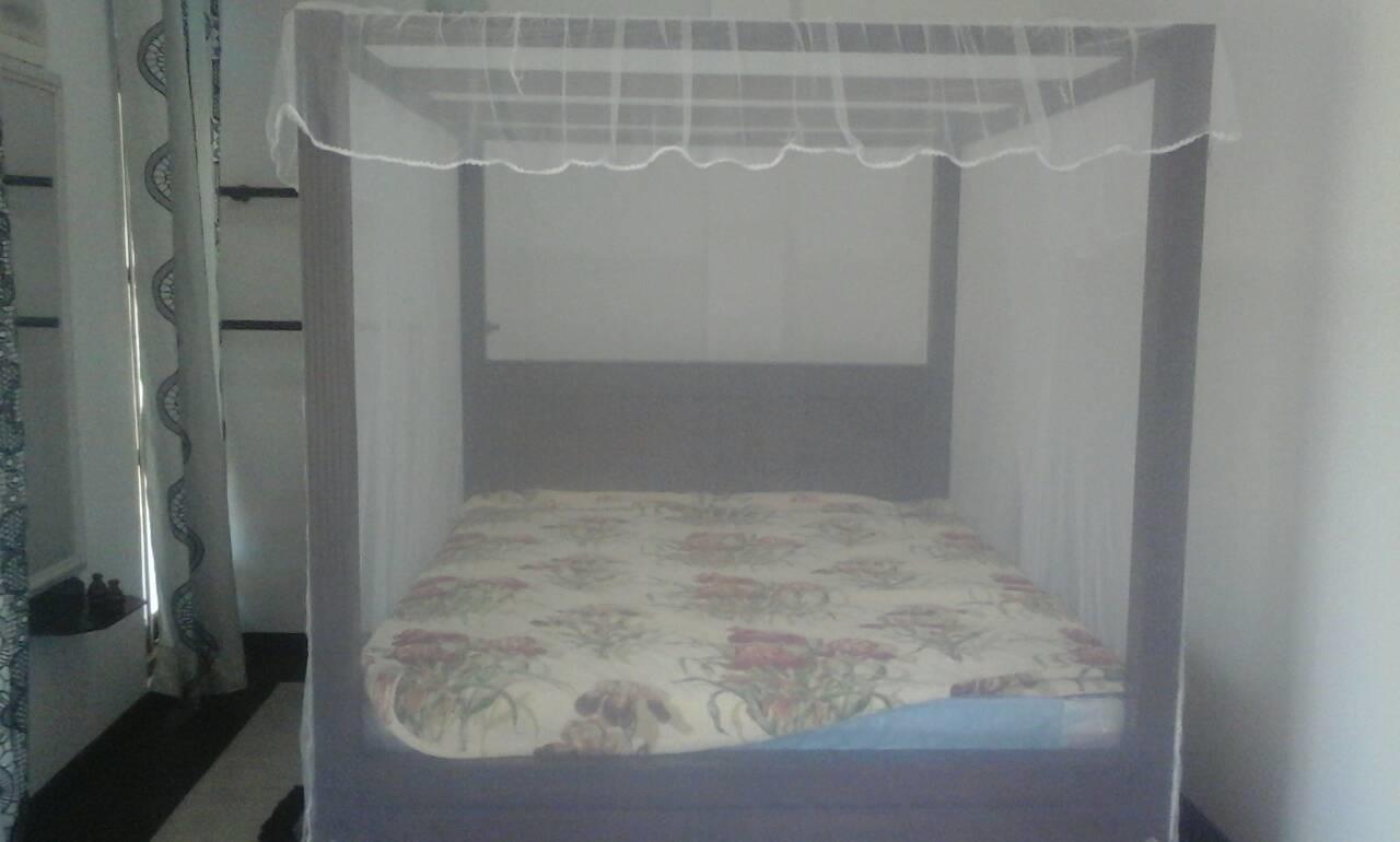 Lodge Backpacker