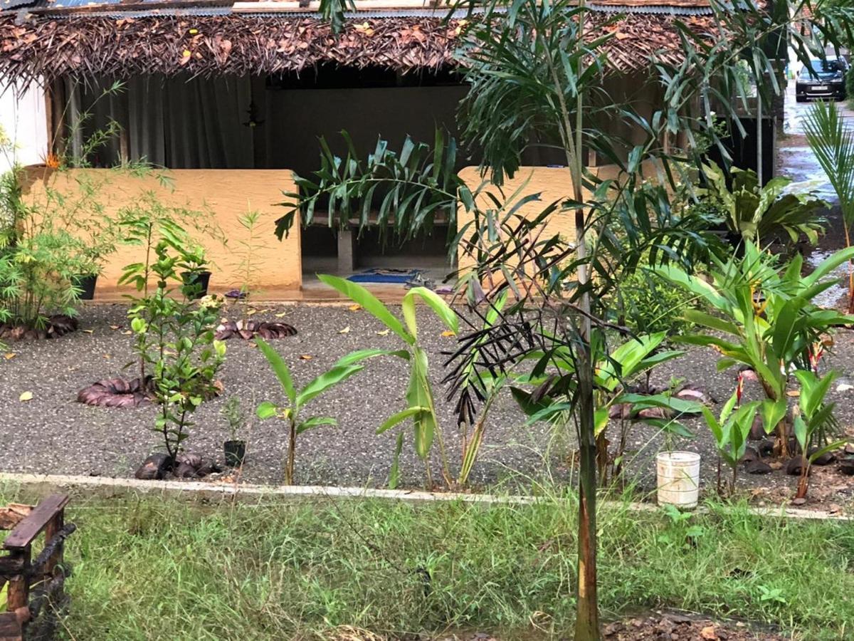 Lodge Backpacker Unawatuna